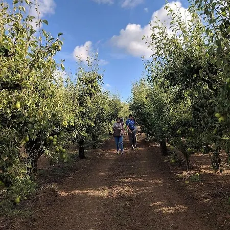 Holiday home Pear Farm